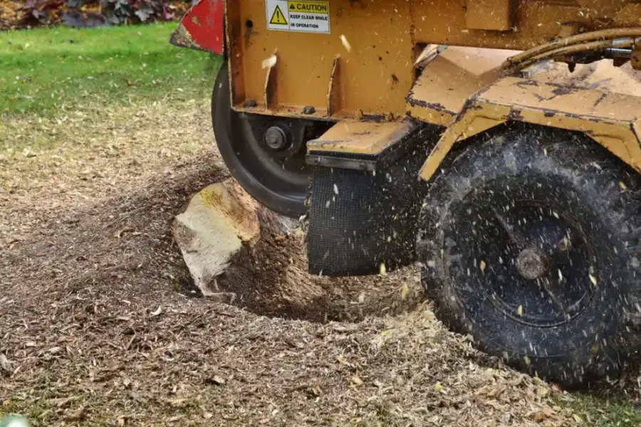 How Stump Grinding Improves Your Landscapes Appearance in Maryville, TN