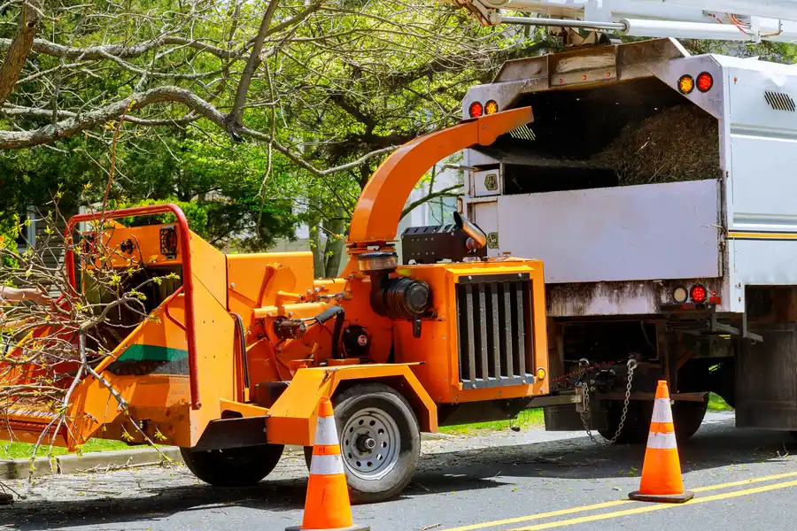 How To Prepare Your Property For A Tree Removal Service Maryville, TN