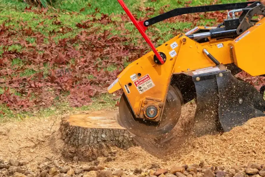 Local Stump Grinding Maryville, TN Local Stump Grinding Maryville, TN