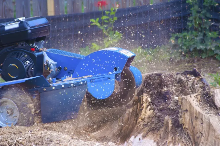 Quality Stump Grinding Maryville, TN Quality Stump Grinding Maryville, TN