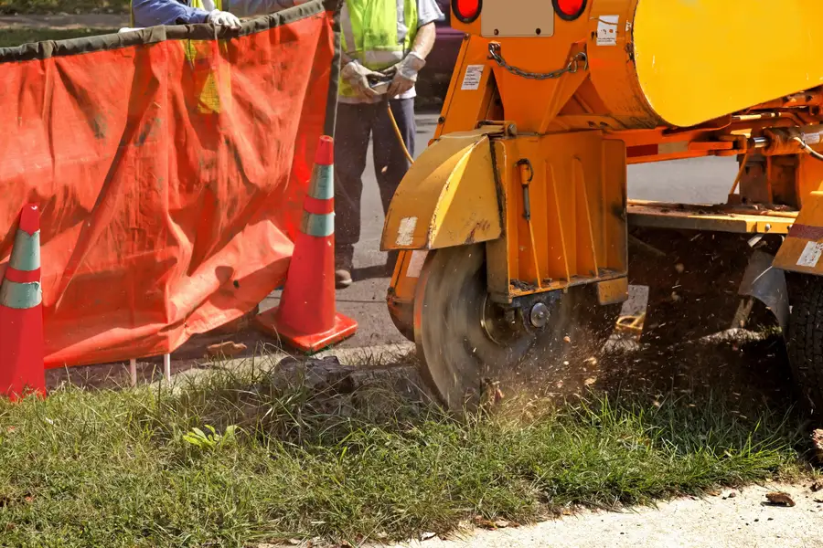 Top-rated Stump Grinding Maryville, TN Top-rated Stump Grinding Maryville, TN