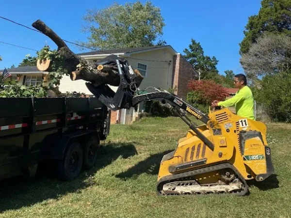 Dependable Tree Service