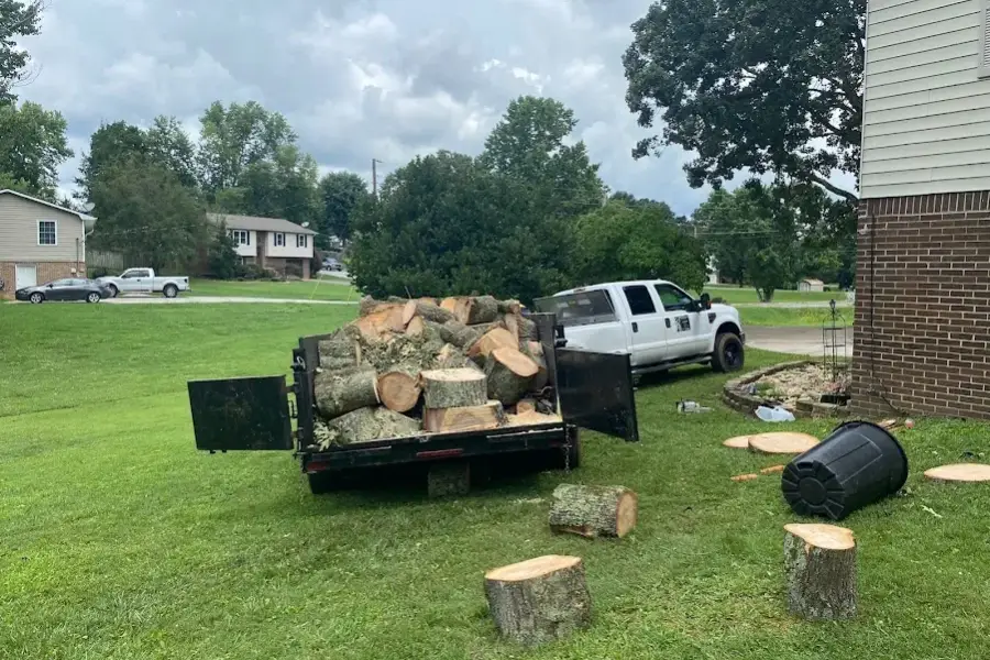 Professional Tree Company in Maryville, TN Professional Tree Company in Maryville, TN