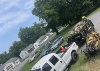 Trusted Tree Care